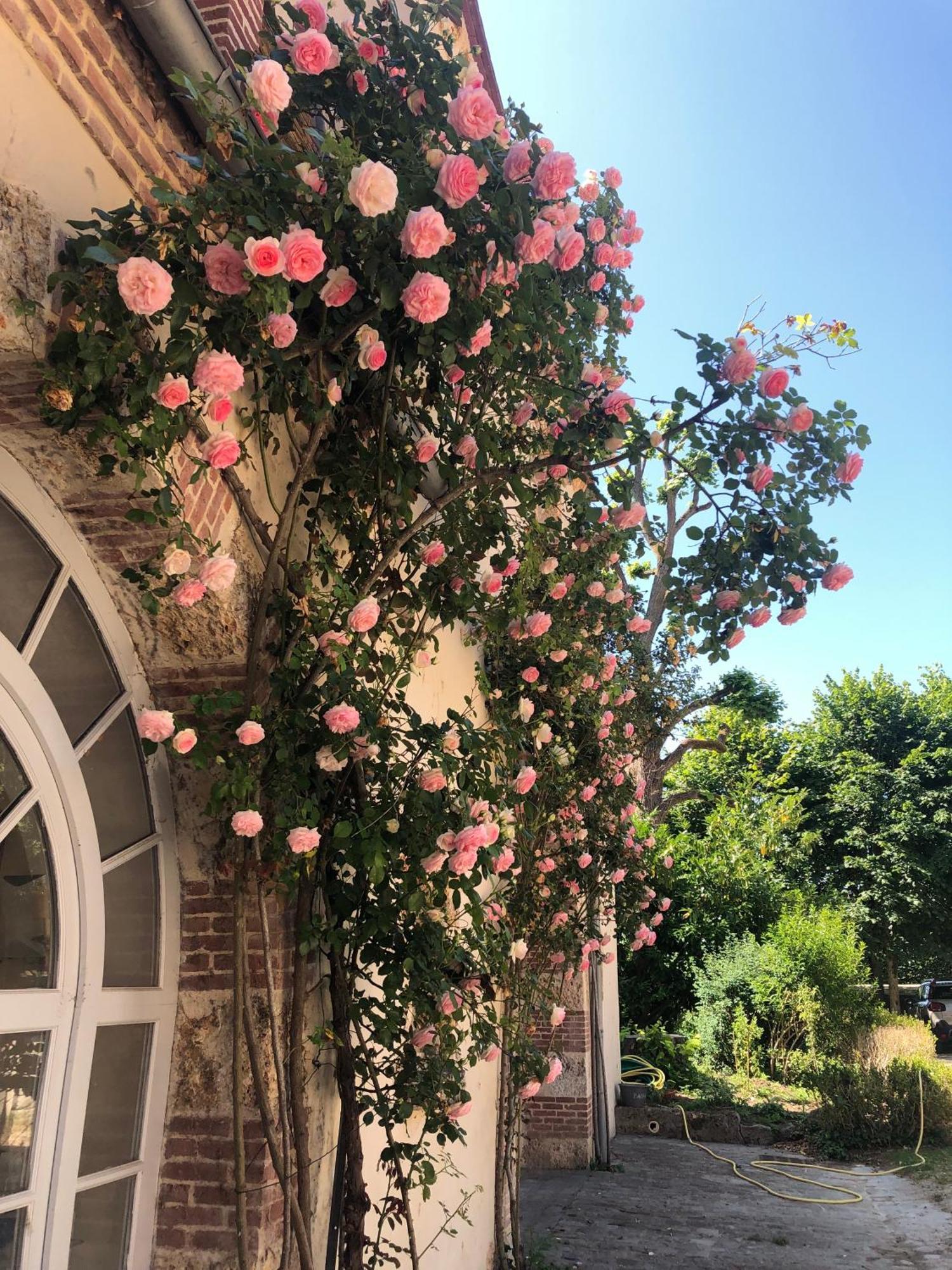Chateau De La Cour Senlisse מראה חיצוני תמונה